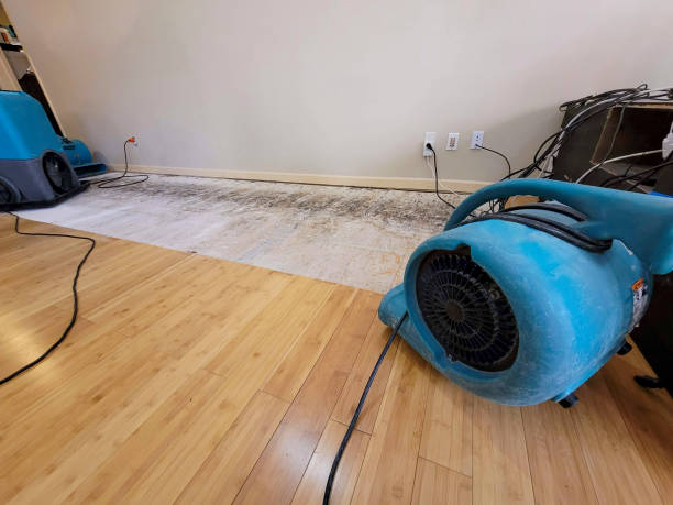 Professional Water Damage Repair technician working in Prosperity, SC
